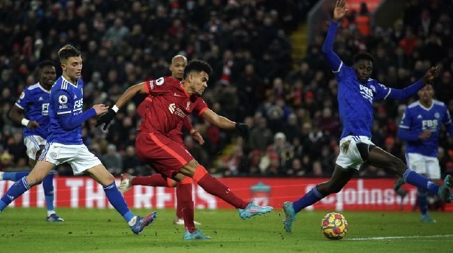 国产欧美日韩专区