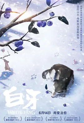 国产成人高清精品免费观看