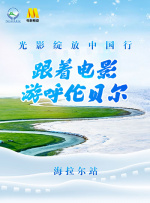 精品视频在线免费