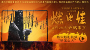 公与妇高清一级