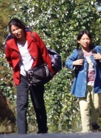 看日本黄色录像