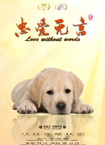 91在线免费视频观看