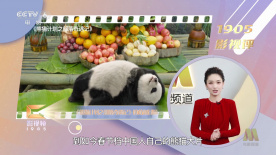 噜噜色噜噜色